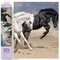 Diamond Dotz Horse Play Diamond Painting Kits for Adults - Diamond Art Kits a Relaxing Creative Craft Kit with Dotz Gems